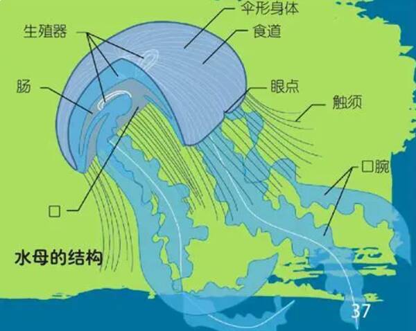 4_九雷图片转换器.jpg