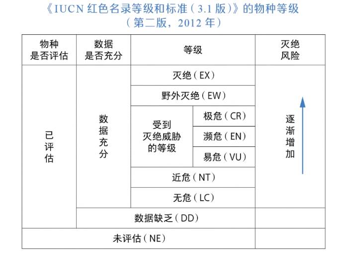 3_九雷图片转换器.jpg