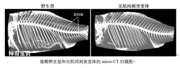 3_九雷图片转换器.jpg