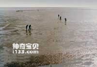 Hebei muddy coast