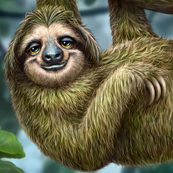 Sloth.jpg