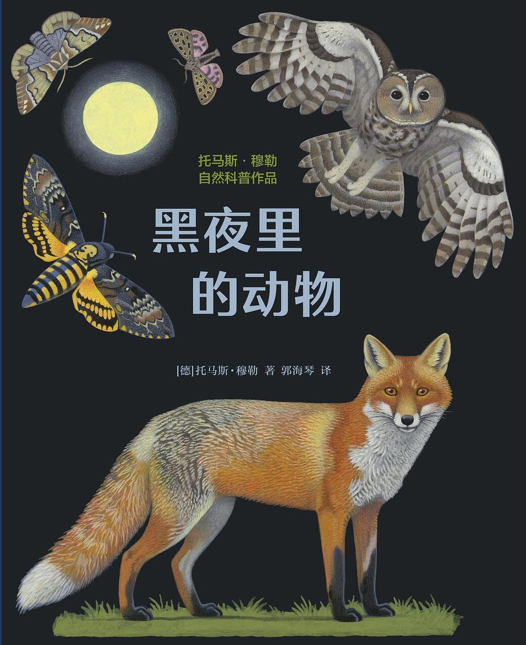 动物中的夜行侠：揭开夜晚的秘密