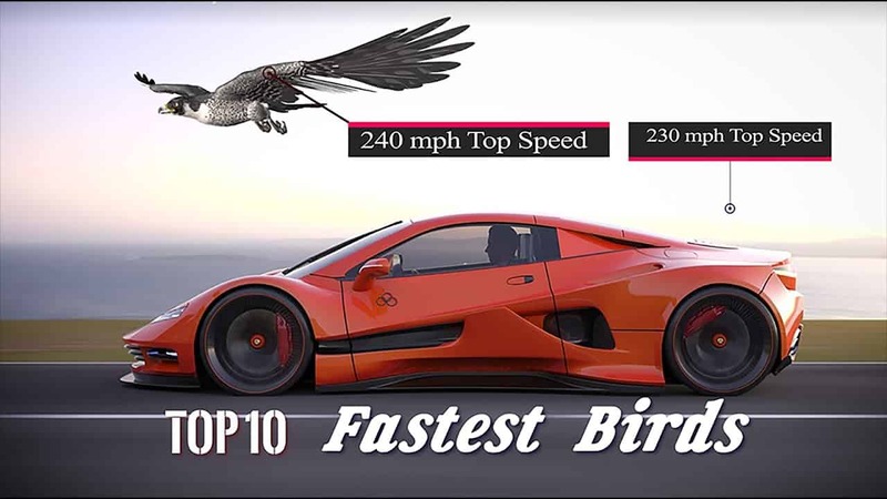 2024092914187922.jpg 112.jpg