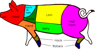 what-animal-ham-comes-from.png