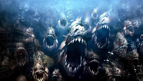 2024110879572063.jpg cute_piranhas_by_jackpison_d7zr3i4-fullview.jpg