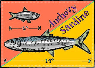 anchovy-and-sardine.jpg