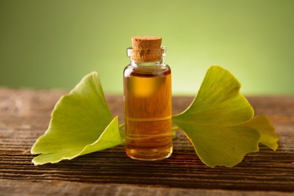 Gingko-extract-leaves-jar-600x401.jpg