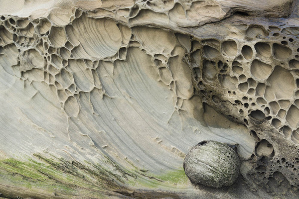 动物是否会导致风化？了解生物风化及其对地球的影响