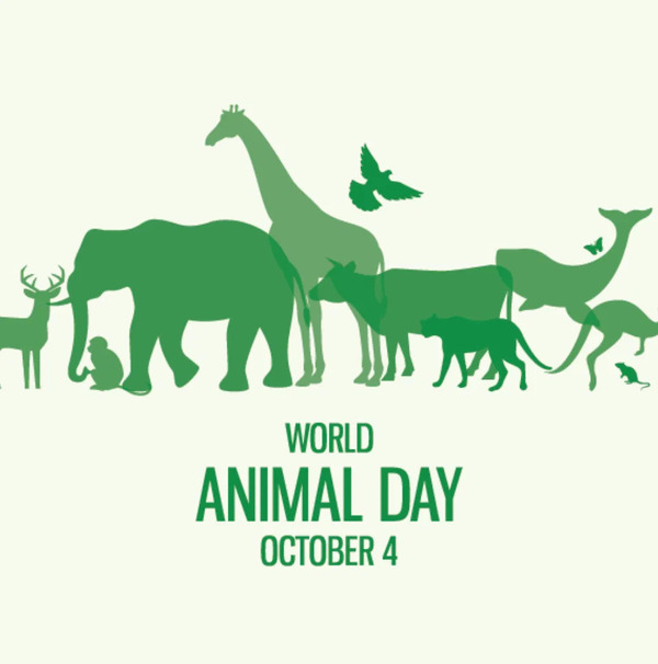 world-animal-day-f (1).jpg