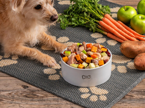 SlowCooker-Dog-Stew-Web1-750x560 (1).jpg