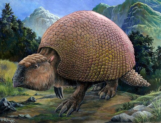 披甲巨兽（Glyptodon）