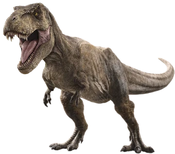 霸王龙（Tyrannosaurus rex）